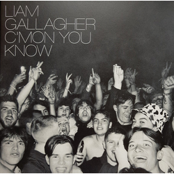 Liam Gallagher C'mon You Know Vinyl LP USED