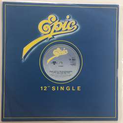Joan Jett & The Blackhearts I Love You Love Vinyl 12" USED