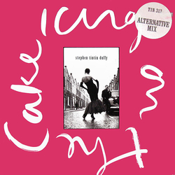 Stephen Duffy Icing On The Cake (Alternative Mix) Vinyl 12" USED