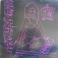 MC Storm(1) / DJ'S Code II Girlfriends Vinyl 12" USED
