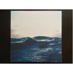 The Final Age The Final Age Vinyl LP USED