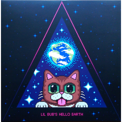 Litewhiz Lil Bub's Hello Earth Vinyl LP USED