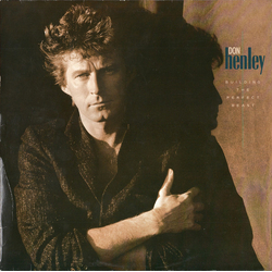 Don Henley Building The Perfect Beast Vinyl LP USED