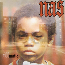 Nas Illmatic Vinyl LP USED