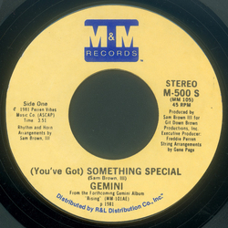 Gemini (19) (You've Got) Something Special Vinyl 7" USED
