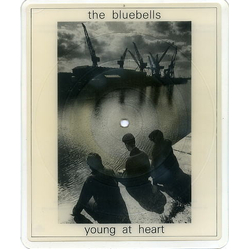 The Bluebells Young At Heart Vinyl 7" USED