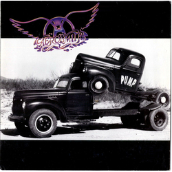 Aerosmith Pump Vinyl LP USED