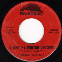 Felice Taylor It May Be Winter Outside (But In My Heart It's Spring) Vinyl 7" USED