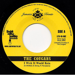 The Cougars I Wish It Would Rain / Right On Vinyl 7" USED