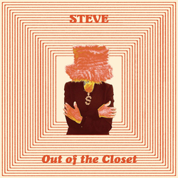 Steve (453) Out Of The Closet Vinyl 12" USED