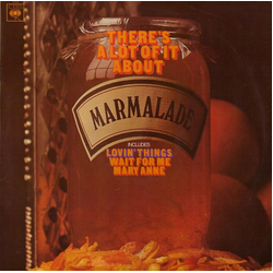 The Marmalade There's A Lot Of It About Vinyl LP USED