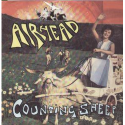 Airhead (3) Counting Sheep Vinyl 12" USED