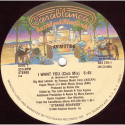 Animotion I Want You Vinyl 12" USED