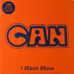 Can I Want More Vinyl 12" USED