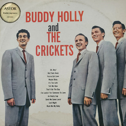 Buddy Holly / The Crickets US Buddy Holly And The Crickets Vinyl LP USED