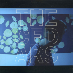 John Vanderslice The Cedars Vinyl LP USED