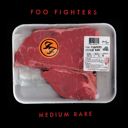 Foo Fighters Medium Rare Vinyl LP USED