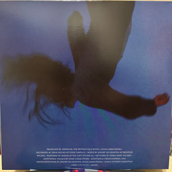 Anberlin Convinced Vinyl 12" USED