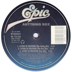 Anything Box Living In Oblivion Vinyl 12" USED