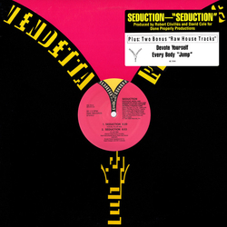 Seduction Seduction Vinyl 12" USED