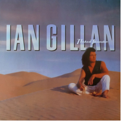 Ian Gillan Naked Thunder Vinyl LP USED