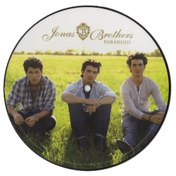 Jonas Brothers Paranoid Vinyl 7" USED