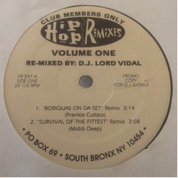 Various Hip-Hop Remixes Volume One Vinyl 12" USED