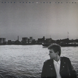 Bryan Adams Into The Fire Vinyl LP USED