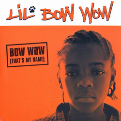 Lil' Bow Wow Bow Wow (That's My Name) Vinyl 12" USED