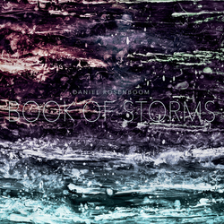 Daniel Rosenboom Book Of Storms Vinyl LP USED