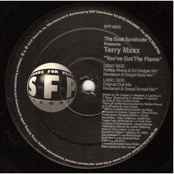 Soul Syndicate / Terry Maxx You've Got The Flame USED VINYL 12INCH