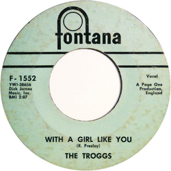 The Troggs With A Girl Like You Vinyl 7" USED