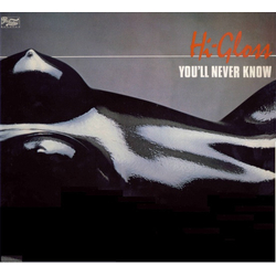 Hi-Gloss You'll Never Know Vinyl LP USED