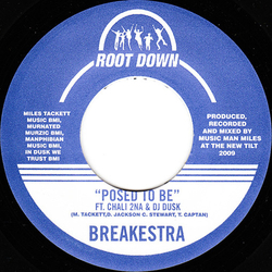 Breakestra Posed To Be Vinyl 7" USED