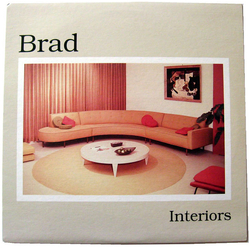 Brad Interiors Vinyl LP USED