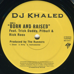DJ Khaled Born And Raised / Grammy Family Vinyl 12" USED