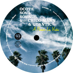 Ocote Soul Sounds A Pesar La Vida Vinyl 7" USED