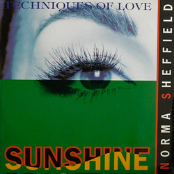 Norma Sheffield Sunshine / Techniques Of Love Vinyl 12" USED