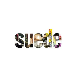 Suede The Vinyl Collection Vinyl 11 LP Box Set USED