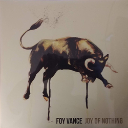 Foy Vance Joy Of Nothing Vinyl LP USED