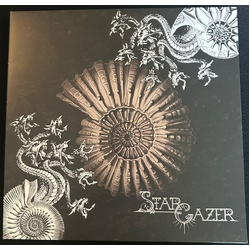 StarGazer US A Great Work Of Ages / A Work Of Great Ages Vinyl LP USED
