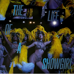 Taylor Swift The Life Of A Showgirl Vinyl LP USED