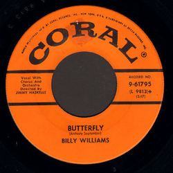Billy Williams (5) The Pied Piper / Butterfly Vinyl 7" USED