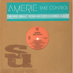 Amerie Take Control / That's What U R Vinyl 12" USED