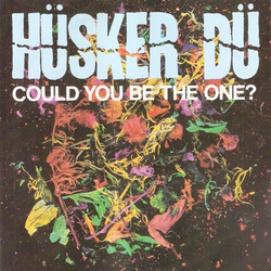 Hüsker Dü Could You Be The One? Vinyl 7" USED
