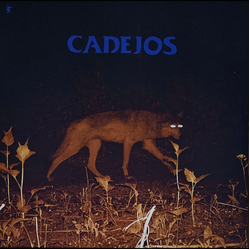 Mamaleek Cadejos + Those Who Pass Between Fleeting Words Vinyl LP USED