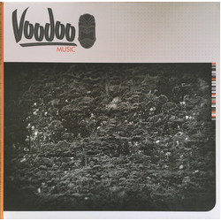 Raiden Baptism Of Fire / Danzon Vinyl 12" USED