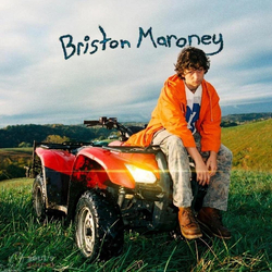 Briston Maroney Sunflower Vinyl LP USED