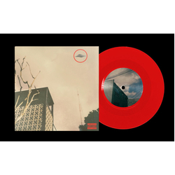 Graymatter The Fades Vinyl 7" USED