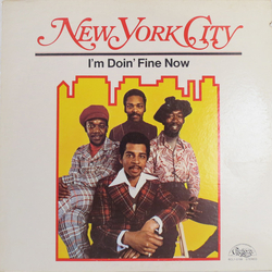 New York City I'm Doin' Fine Now Vinyl LP USED